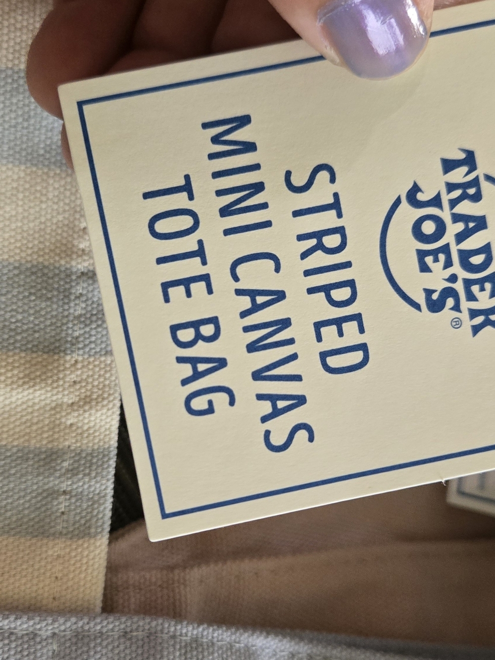 Trader Joe's Blue & Cream Striped Mini Canvas Tote Bag - Picture 3 of 3